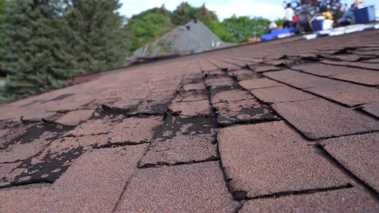 Best Wood Shake Roofing  in Robins Af, GA
