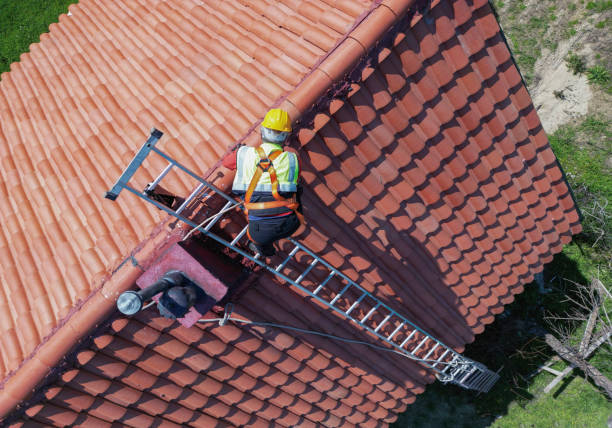 Best Green or Eco-Friendly Roofing Solutions  in Robins Af, GA