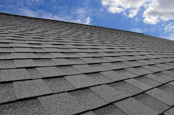 Best Skylight Installation and Repair  in Robins Af, GA