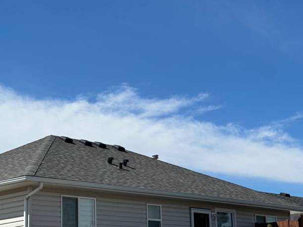 Best Storm Damage Roof Repair  in Robins Af, GA